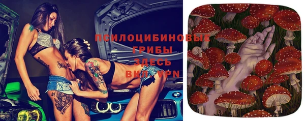 эйфоретик Алексеевка