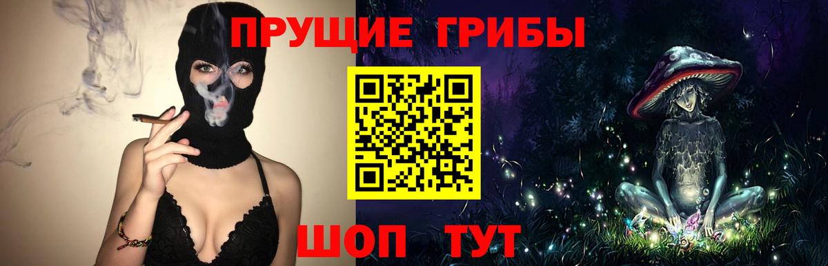 Псилоцибиновые грибы Psilocybe  Вход с VPN  сколько стоит  Сухой Лог  Галлюциногенные грибы Psilocybe 